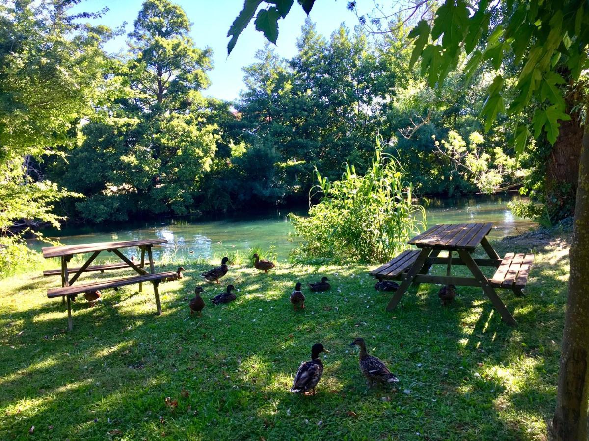 Mas Le Pont Des Aubes Bed & Breakfast L'Isle-sur-la-Sorgue Exterior photo